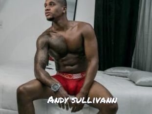 Andy_sullivann