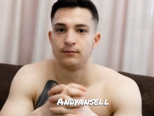 andyansell Ochranne Siete