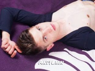 Andylinn