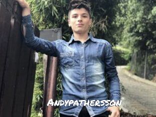 andypathersson Ochranne Siete