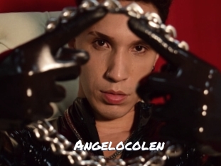 angelocolen Ochranne Siete