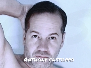 anthony_castoppo Ochranne Siete