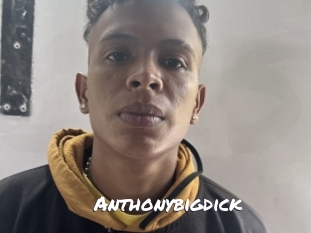 Anthonybigdick