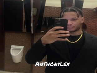 anthonylex Ochranne Siete
