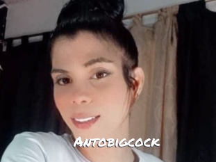Antobigcock