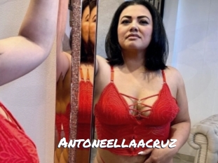 Antoneellaacruz
