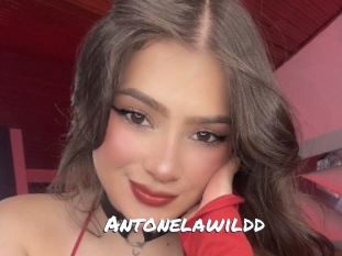 Antonelawildd