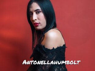 Antonellahumbolt