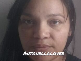 Antonellalovee