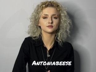 Antoniabeese