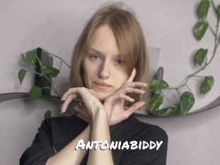 Antoniabiddy
