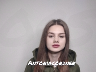 Antoniacordner