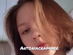 Antoniacrammer