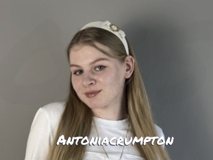 antoniacrumpton Ochranne Siete