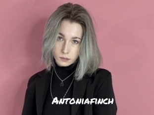 Antoniafinch