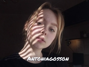 Antoniagosson