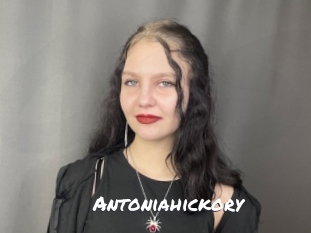Antoniahickory