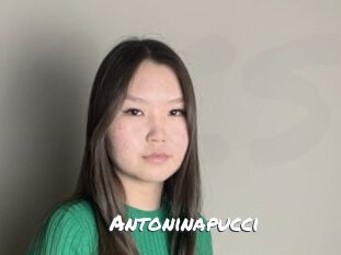 Antoninapucci