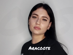 Aracoote