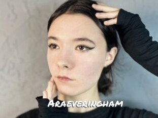 araeveringham Ochranne Siete