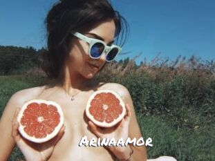 Arinaamor