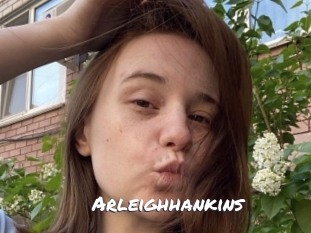 arleighhankins Ochranne Siete