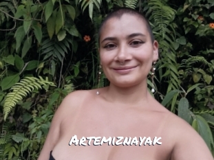 Artemiznayak