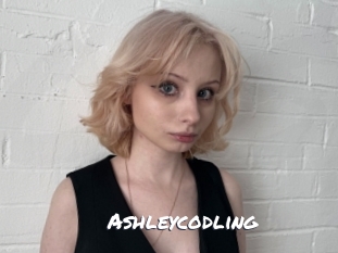 Ashleycodling
