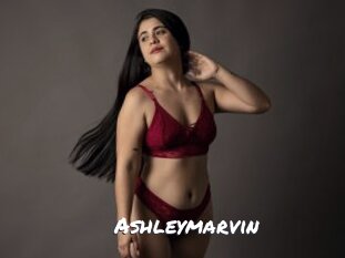 ashleymarvin Ochranne Siete