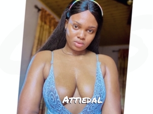 Attiedal
