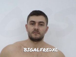 BIGALFREDXL