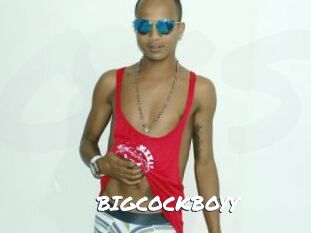 BIGCOCKBOYY