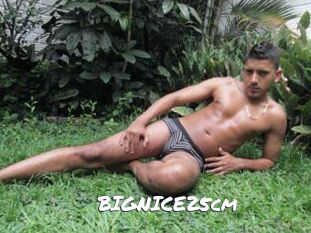 BIGNICE25cm