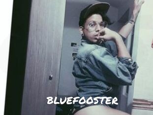 BLUEFOOSTER