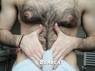 Bearcat