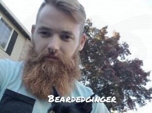 Beardedginger