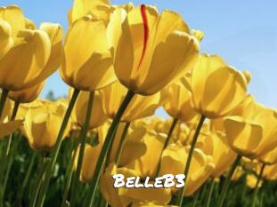 BelleB3