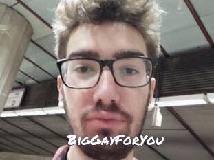 BigGayForYou
