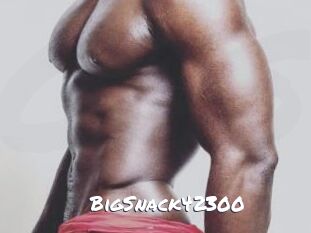 BigSnack42300