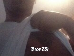 Bigd231