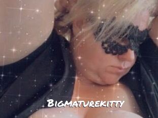 Bigmaturekitty