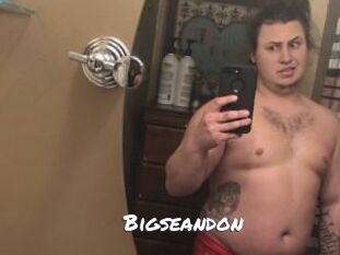 Bigseandon