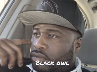 Black_owl