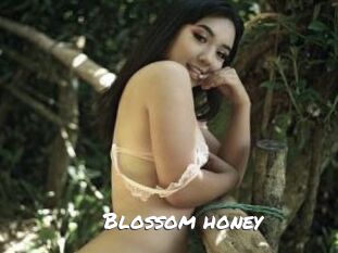 Blossom_honey