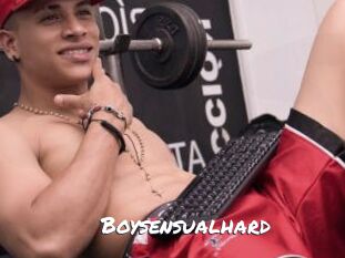 Boysensualhard