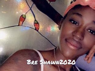 Bre_Shawn2020