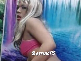 BritnkTS