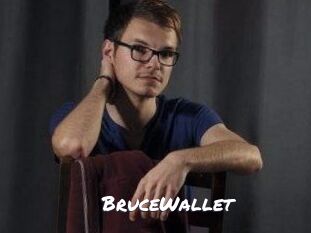 BruceWallet