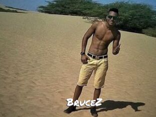 BruceZ
