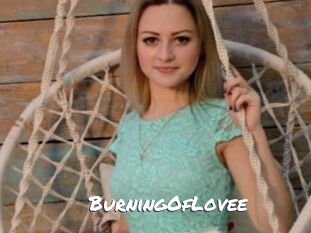 BurningOfLovee